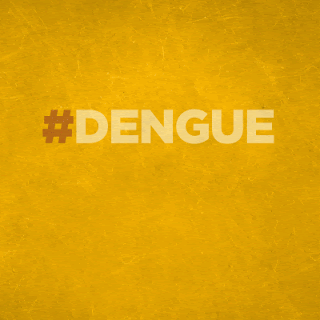 MARILÂNDIA DO SUL - No combate com a Dengue