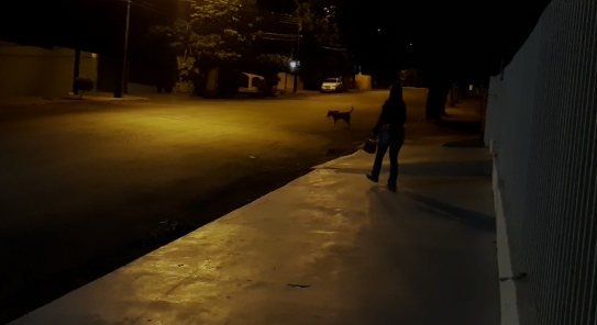  Cachorro ataca pessoas nas ruas de Faxinal