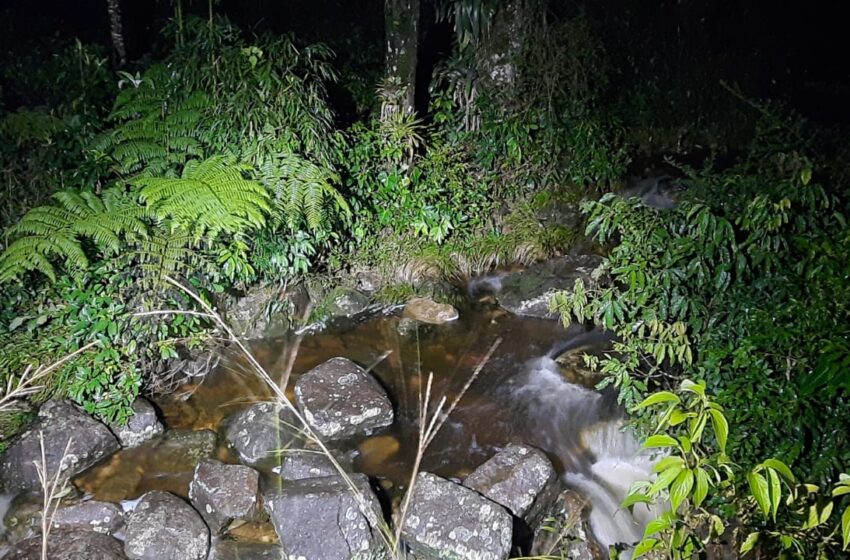  Três pessoas da mesma família morrem afogadas em cachoeira no Paraná; mãe e filha estão entre vítimas