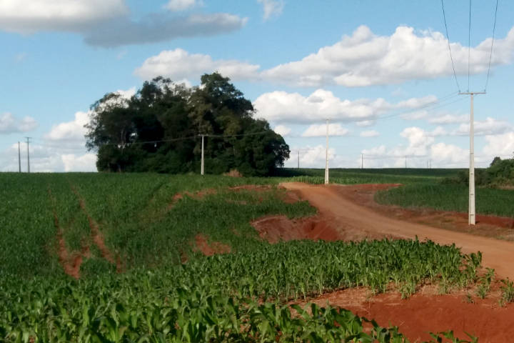  VALE DO IVAÍ – Obras do Paraná Trifásico aumentam qualidade e segurança da energia