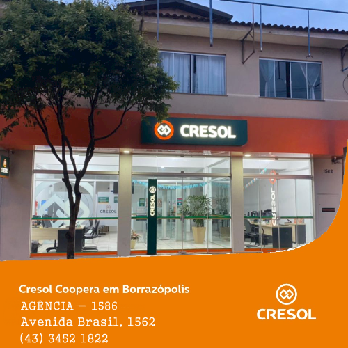 CRESOL - Borrazópolis