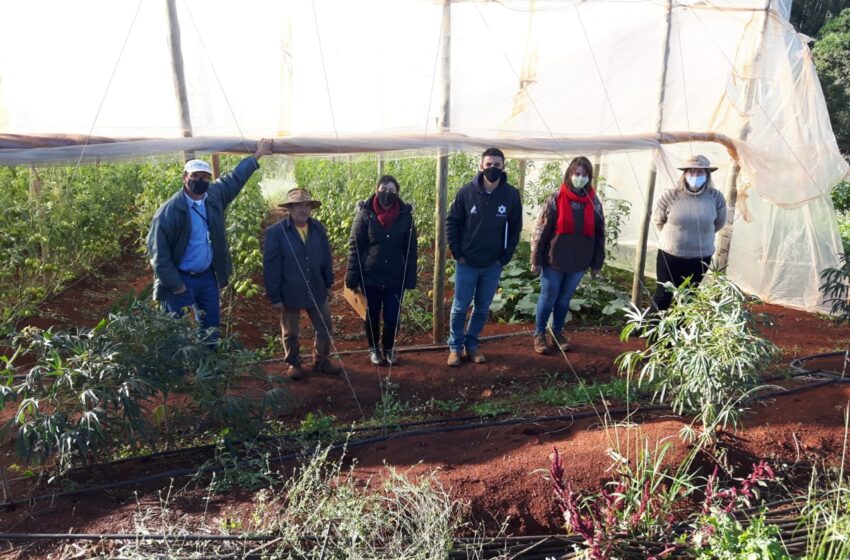  Departamento de Agricultura de Ivaiporã inicia projeto de Produção de Orgânico