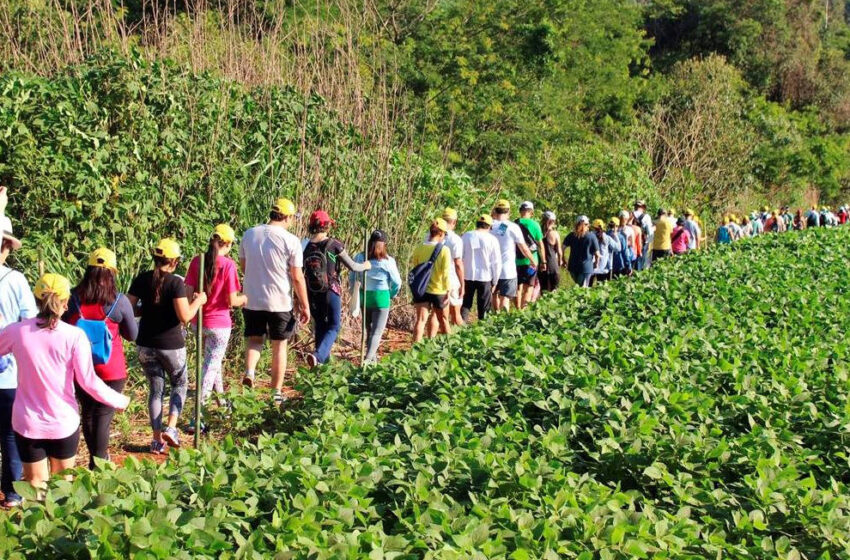  IDR-Paraná prepara retorno das Caminhadas na Natureza