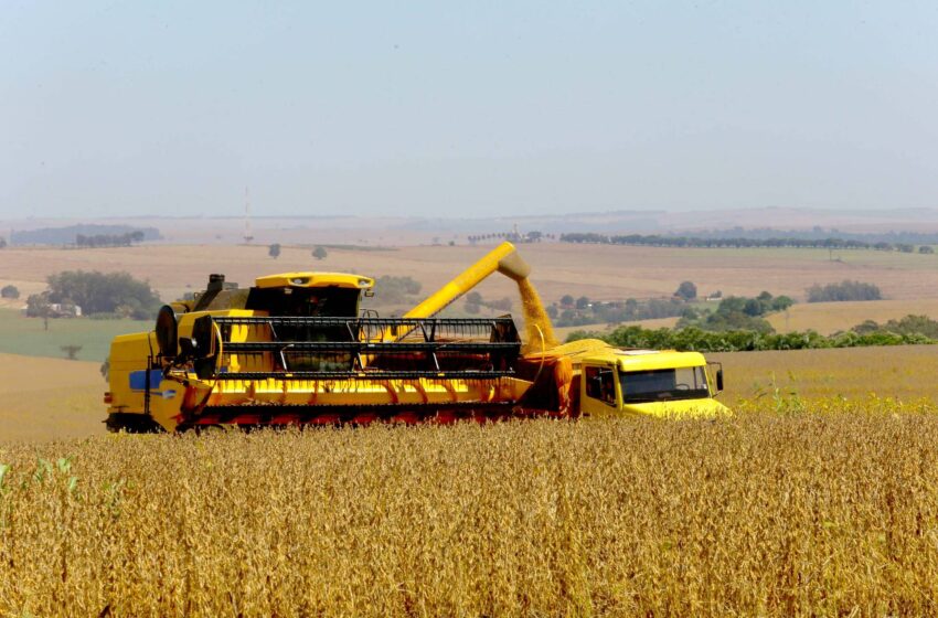  Paraná deve produzir 25,5 milhões de toneladas de grãos na safra de verão