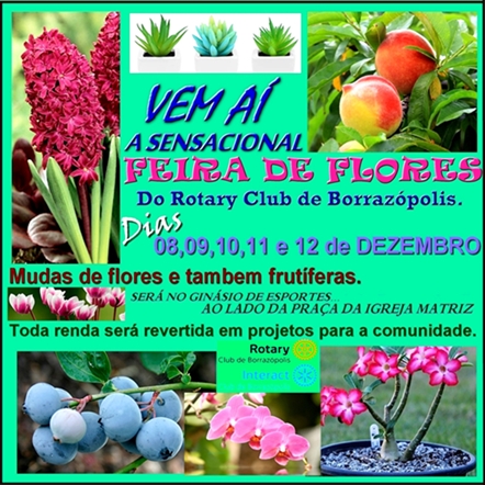  VEM AI – Exposição e venda de Flores do Rotary Club de Borrazópolis