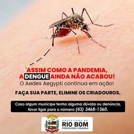  Rio Bom no combate a Dengue