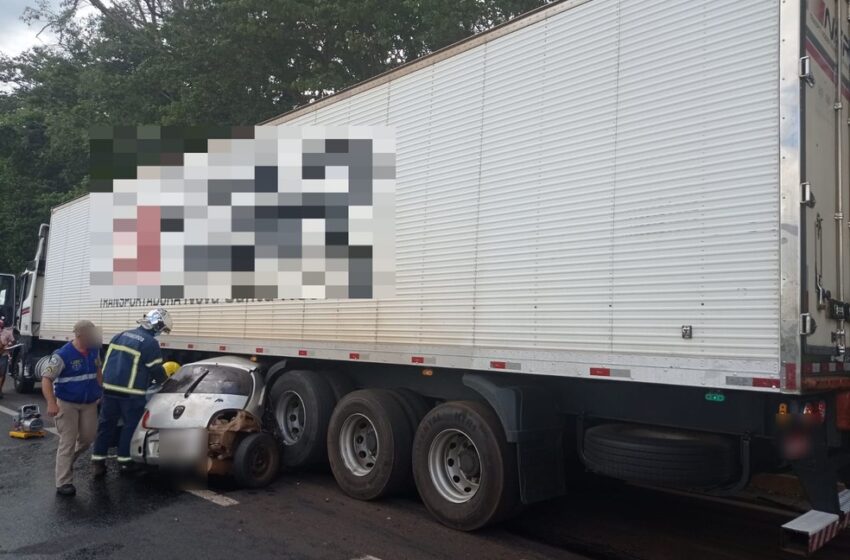  Mulher morre após bater carro contra placa de sinalização e caminhão na PR-444, em Arapongas