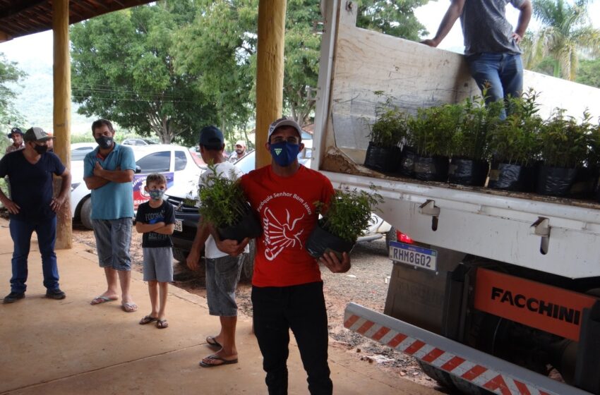  Rio Branco do Ivaí realiza a entrega de mudas de árvores
