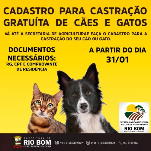  Rio Bom abre cadastro gratuíto para castração de cães e gatos