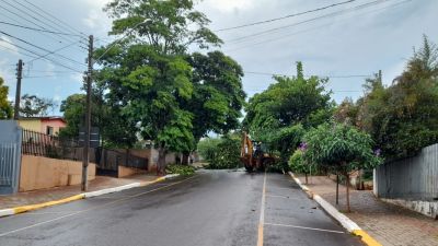  Prefeitura de Marilândia trabalha na retirada de árvores que caíram devido à forte chuva