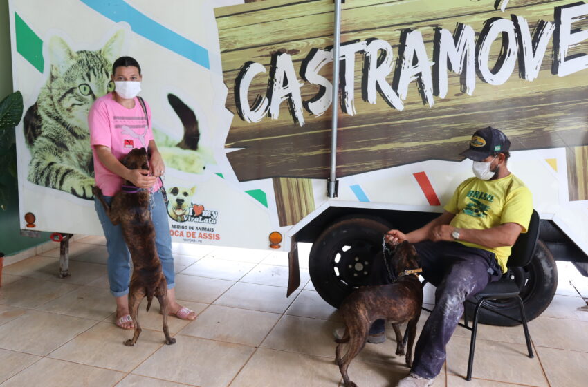  Prefeitura de Ivaiporã e Amuvi voltam a castrar cães e gatos no Castramóvel