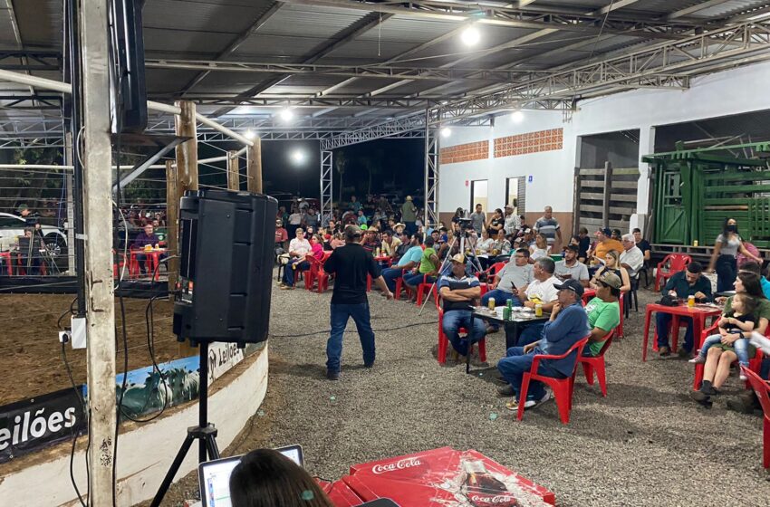  Leilão de Gado atrai produtores e movimenta a economia de Rosário do Ivaí