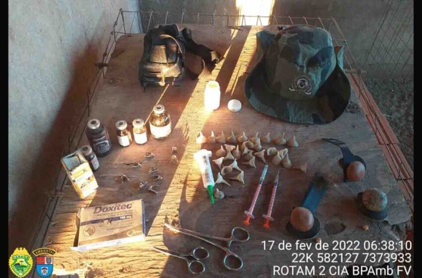  Polícia resgata 11 galos de briga em sítio no Paraná