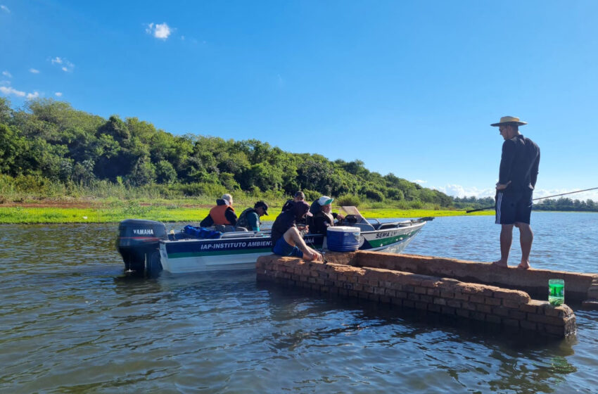  Paraná conclui a Piracema após cinco forças-tarefas de fiscalização e soltura de mais 770 mil peixes nativos