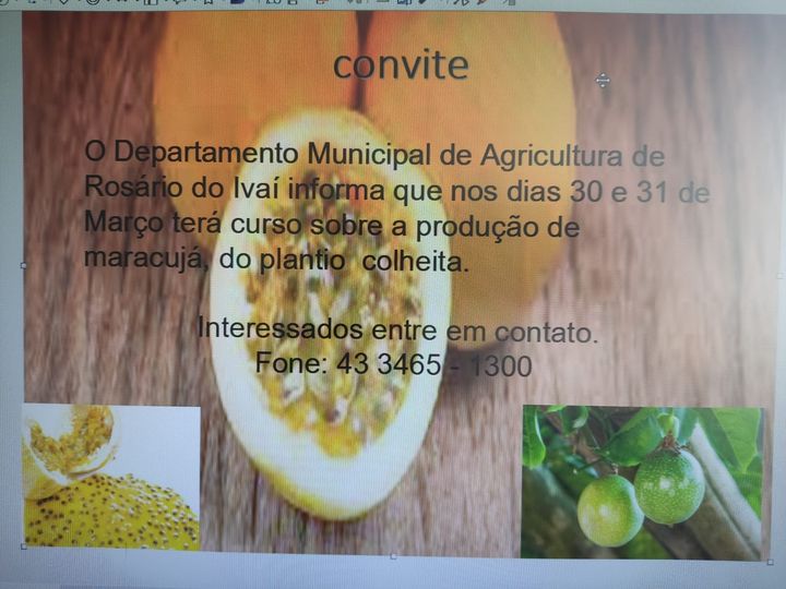  Departamento de agricultura de Rosário do Ivaí, dará curso sobre plantio e produção de maracujá