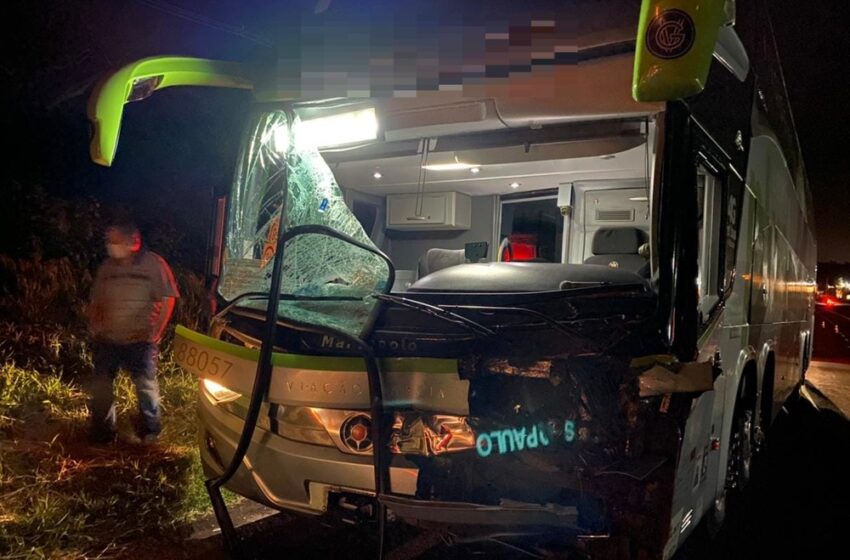  Motorista fica ferido após ônibus com 39 passageiros atropelar cavalo, em Arapongas