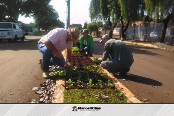  Manoel Ribas promove plantio de mudas de flores em diversos locais da cidade