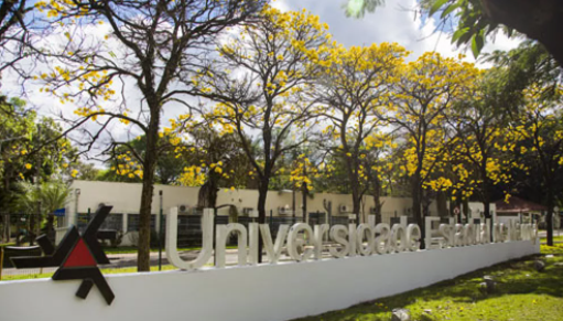  Universidade Estadual de Maringá divulga resultado do Vestibular aplicado em fevereiro