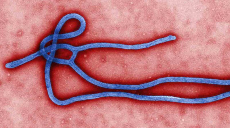  Novo surto de ebola atinge a República Democrática do Congo