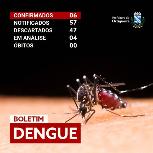  Boletim da Dengue de Ortigueira