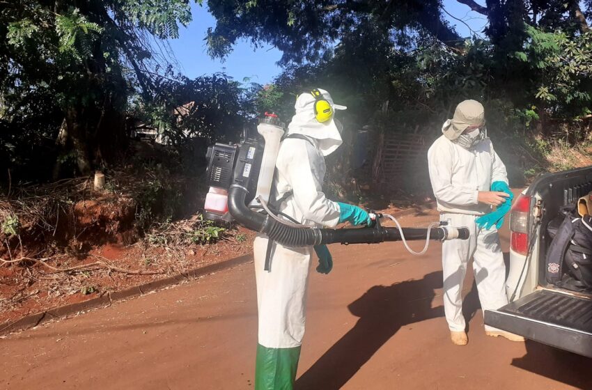  Equipe de endemias de Ivaiporã aplica inseticida em áreas do município com casos de dengue