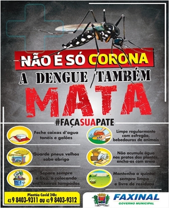  FAXINAL – Todos contra a Dengue!