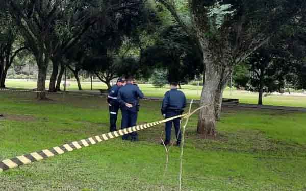  Mulher é encontrada morta com corpo escorado em árvore