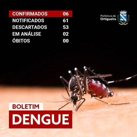  Boletim Dengue de Ortigueira