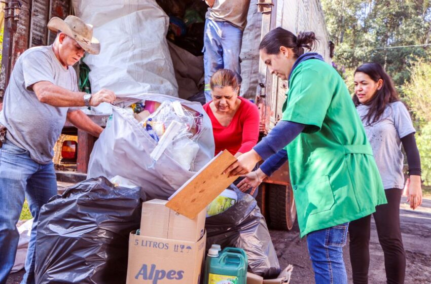  Feira Verde em Apucarana distribui 680 quilos de alimentos nesta terça-feira