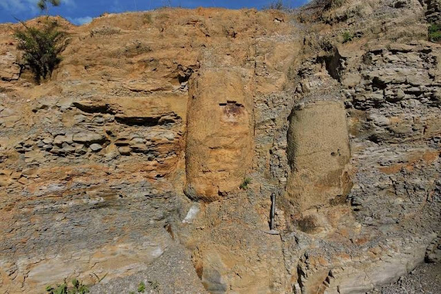  Floresta de 290 milhões de anos é descoberta em Ortigueira