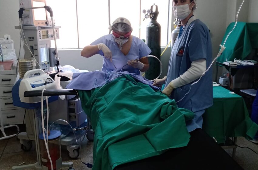  Cirurgias de Otorrino é realizado no Hospital Municipal de Jardim Alegre