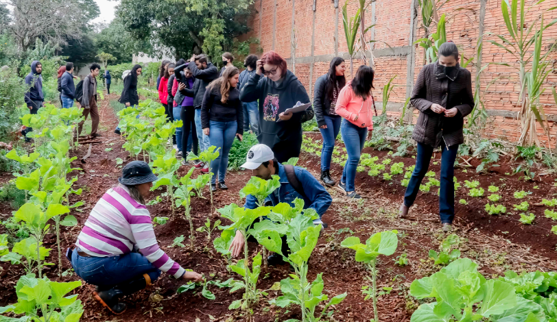  APUCARANA – Universitários conhecem Programa Municipal de Hortas Solidárias