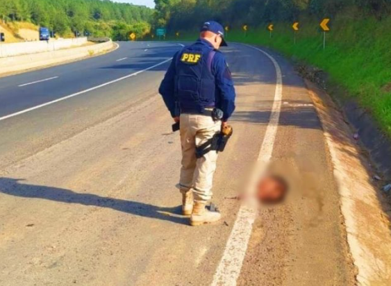  REGIÃO – Cabeça humana decapitada é encontrada em acostamento de rodovia BR-376