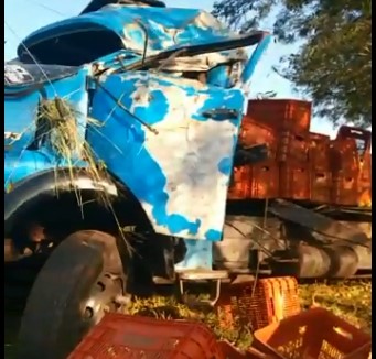  Acidente na PR-466, Caminhão carregado com tomates bateu em barranco