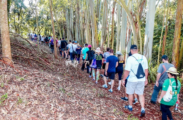  Mais de 56 mil pessoas participaram das Caminhadas na Natureza no Paraná em 2022