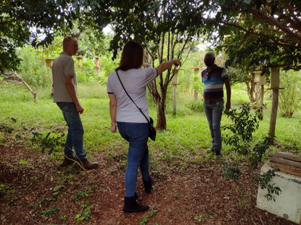  Curso sobre criação de abelhas sem ferrão em Apucarana