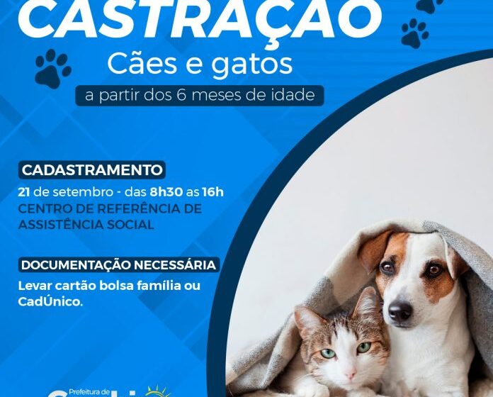  Cambira abre inscrições para cirurgias de castração gratuitas de cães e gatos