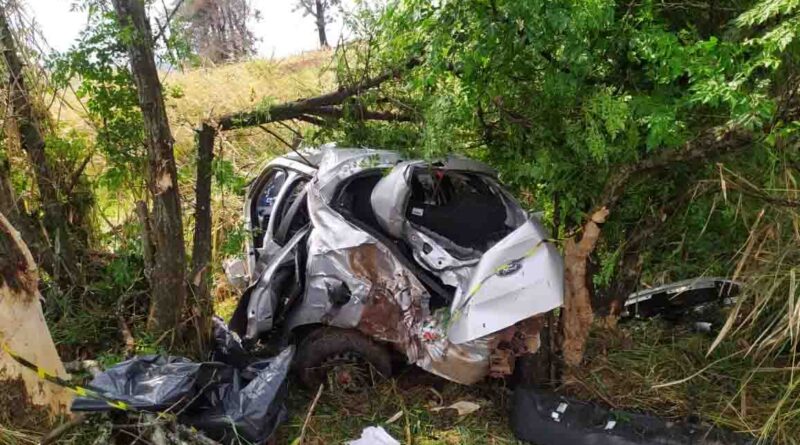  REGIÃO – Carro bate contra árvore na PR-518 e mata motorista de 18 anos