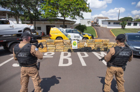 Policiais Militar apreende mais de uma tonelada de maconha no Oeste do Paraná  –