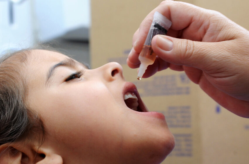  Saúde reforça importância da vacinação no Dia Mundial de Combate à Poliomielite