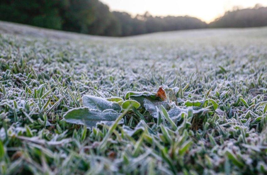  Após recorde de frio, temperatura sobe e Paraná volta a ter veranicos de inverno