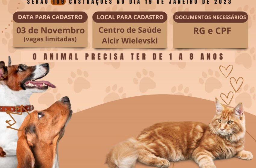  CastraPet Paraná atenderá animais em Ariranha do Ivaí