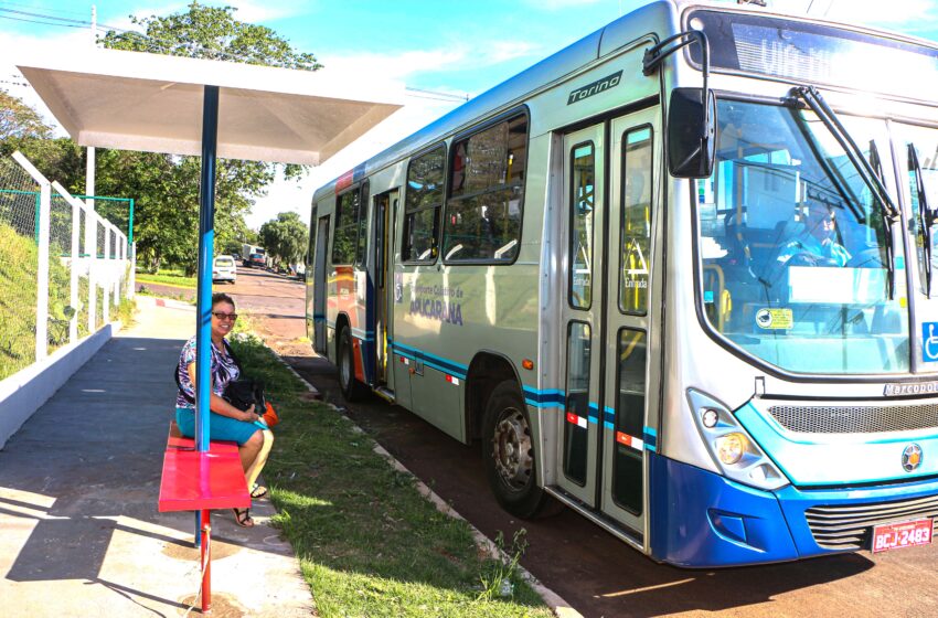  Linhas do transporte coletivo ganham novos pontos em Apucarana