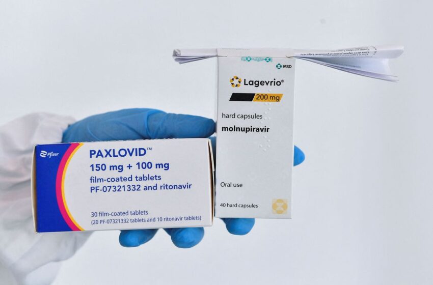  Anvisa autoriza venda de remédios contra covid-19 na rede particular