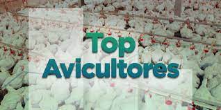  Conheça os avicultores integrados com os maiores índices de eficiência produtiva no mês de novembro