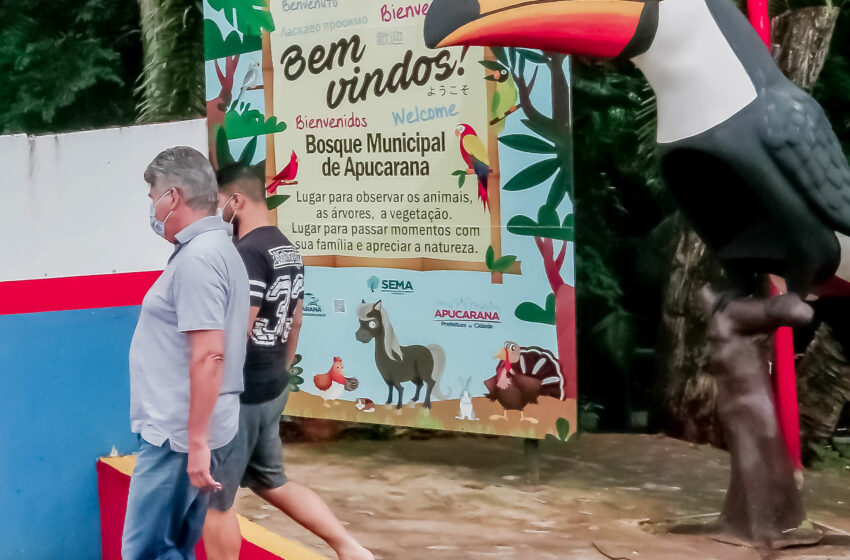  Prefeitura promove visita guiada para crianças no Bosque Municipal