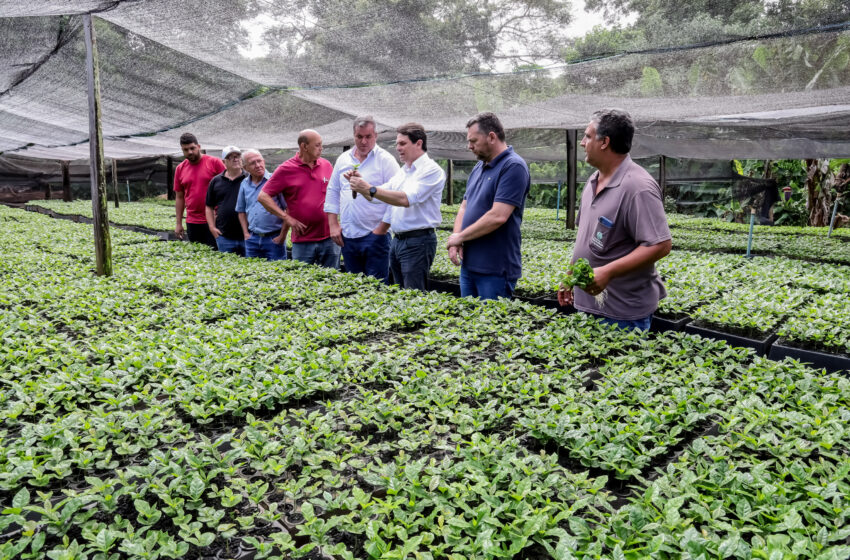  Horto municipal é referência na produção de mudas de café