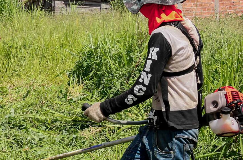  Prefeitura de Apucarana reforça alerta sobre roçagem de terrenos