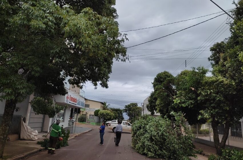  Equipe do departamento de Limpeza Pública de São João do Ivaí realiza poda de árvores