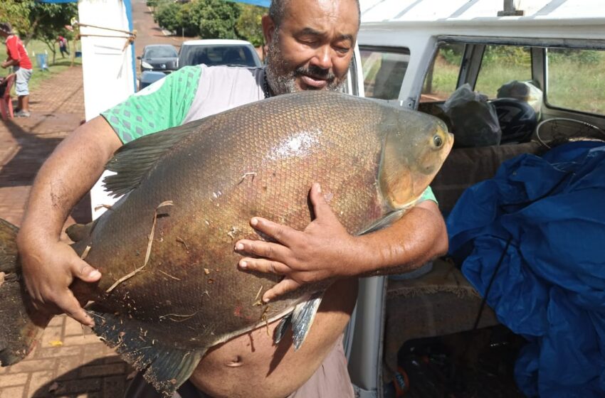  Pescador surpreende ao pescar peixe de 27kg em Borrazópolis